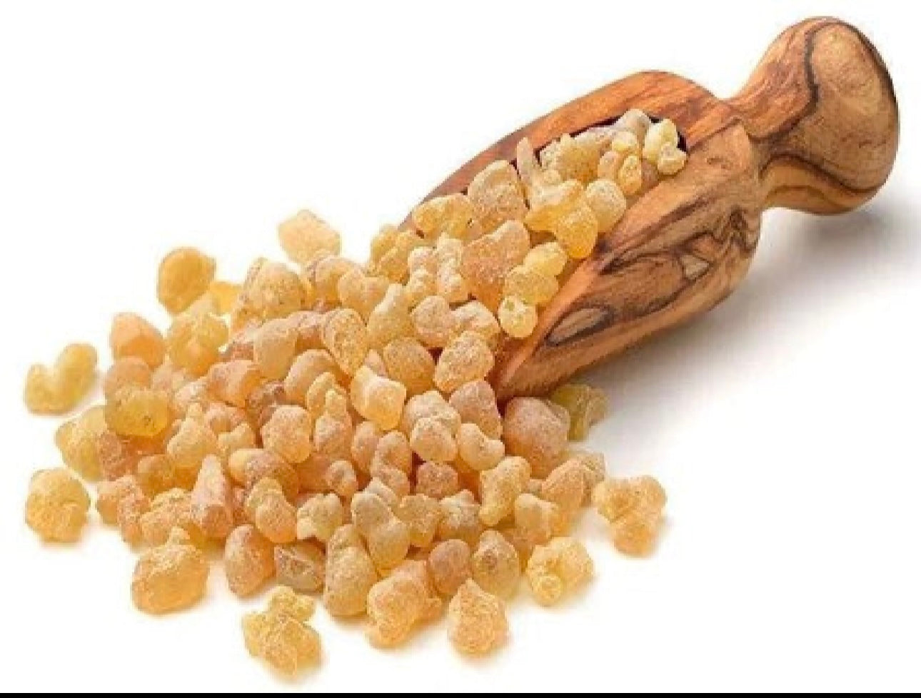 SAHARA ORIENTAL GUM FRANKINCENSE 100 GR
